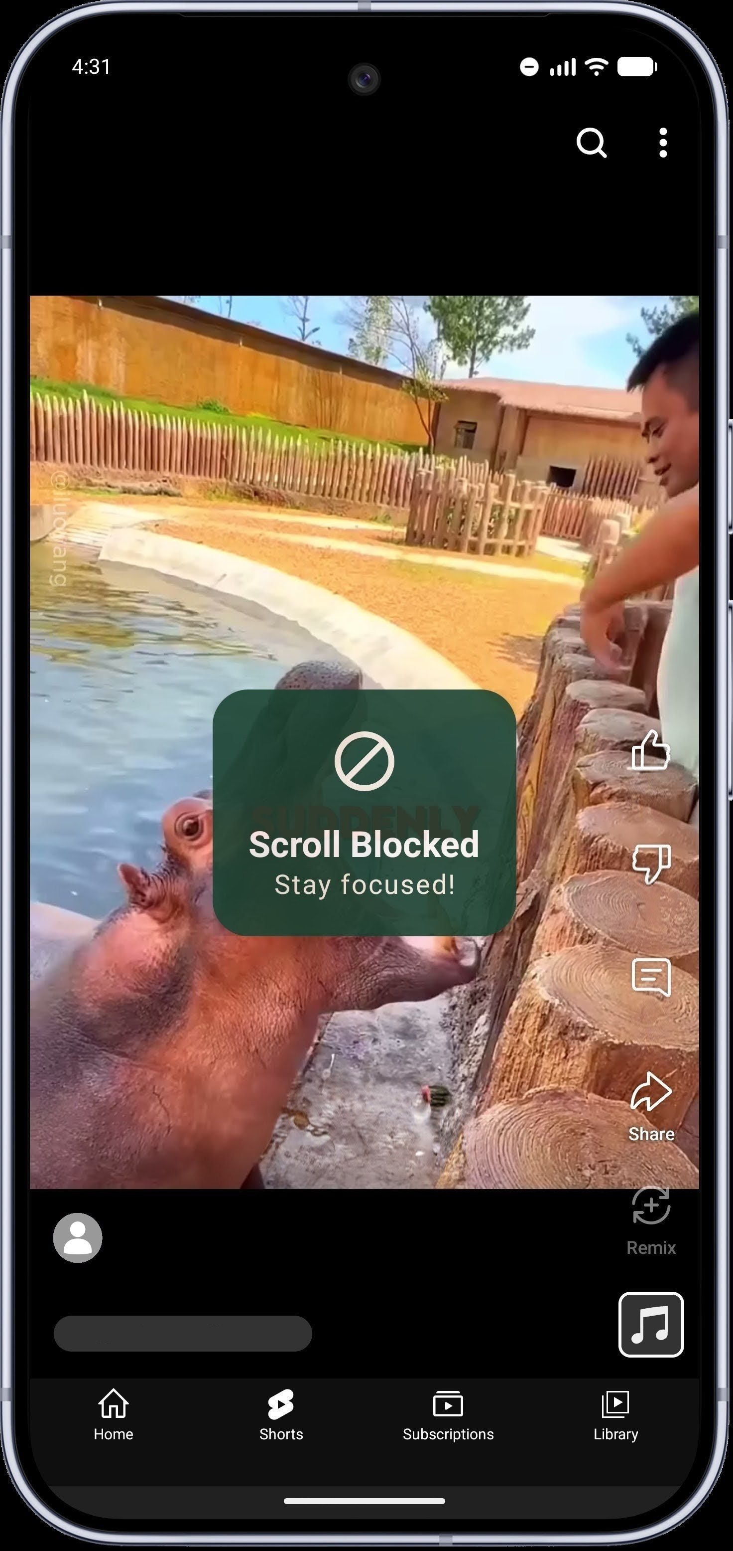Dam It! blocking a YouTube Shorts swipe - the overlay reads Scroll Blocked, Stay focused!